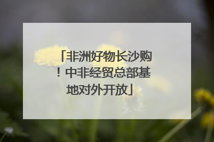 非洲好物长沙购！中非经贸总部基地对外开放